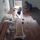 Sàn gỗ Óc Chó (Walnut) - Sàn gỗ tự nhiên cao cấp