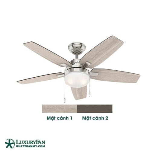 Quạt trần Hunter Arcot 50646
