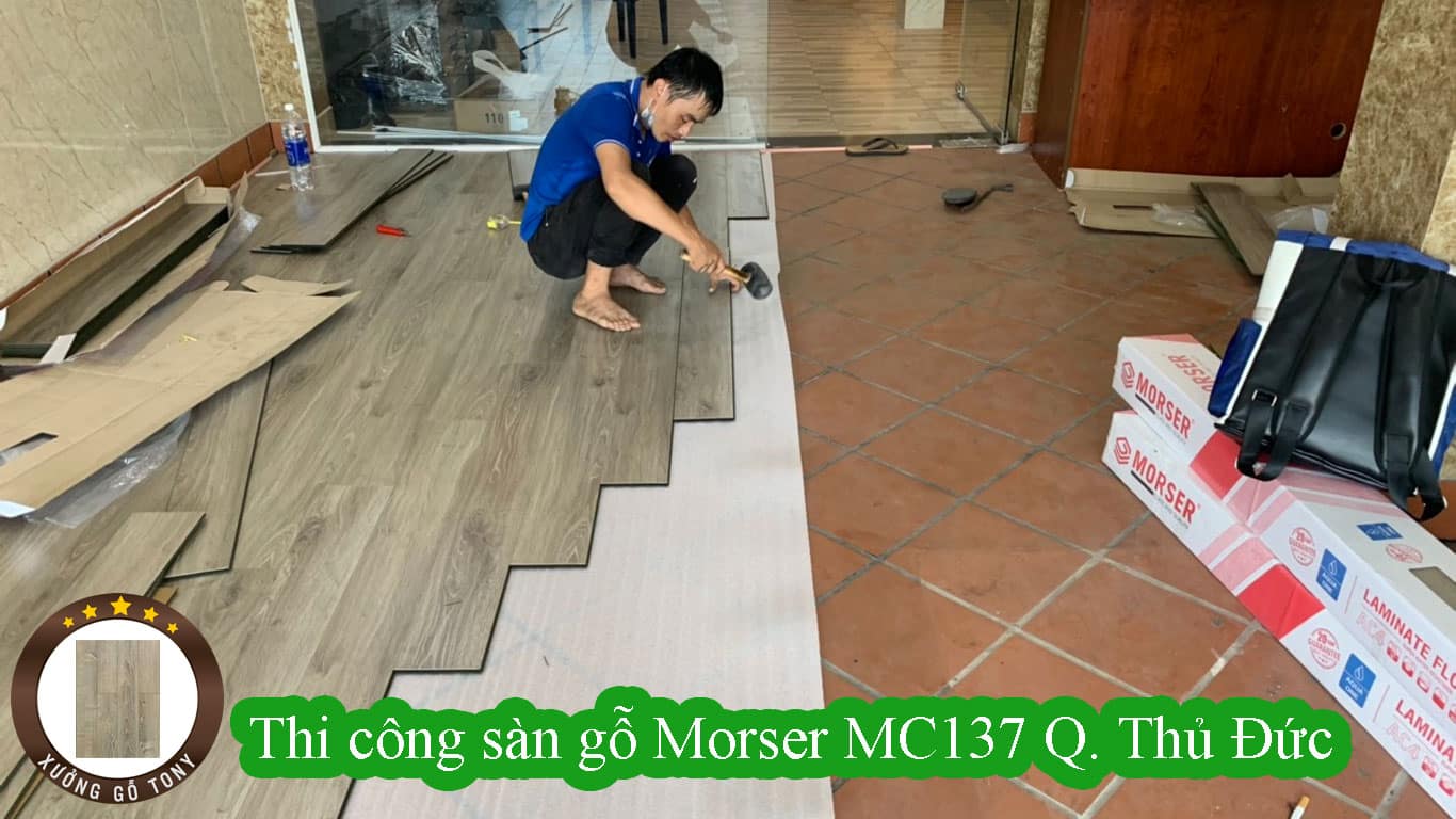 Thi công sàn gỗ công nghiệp Morser MC137