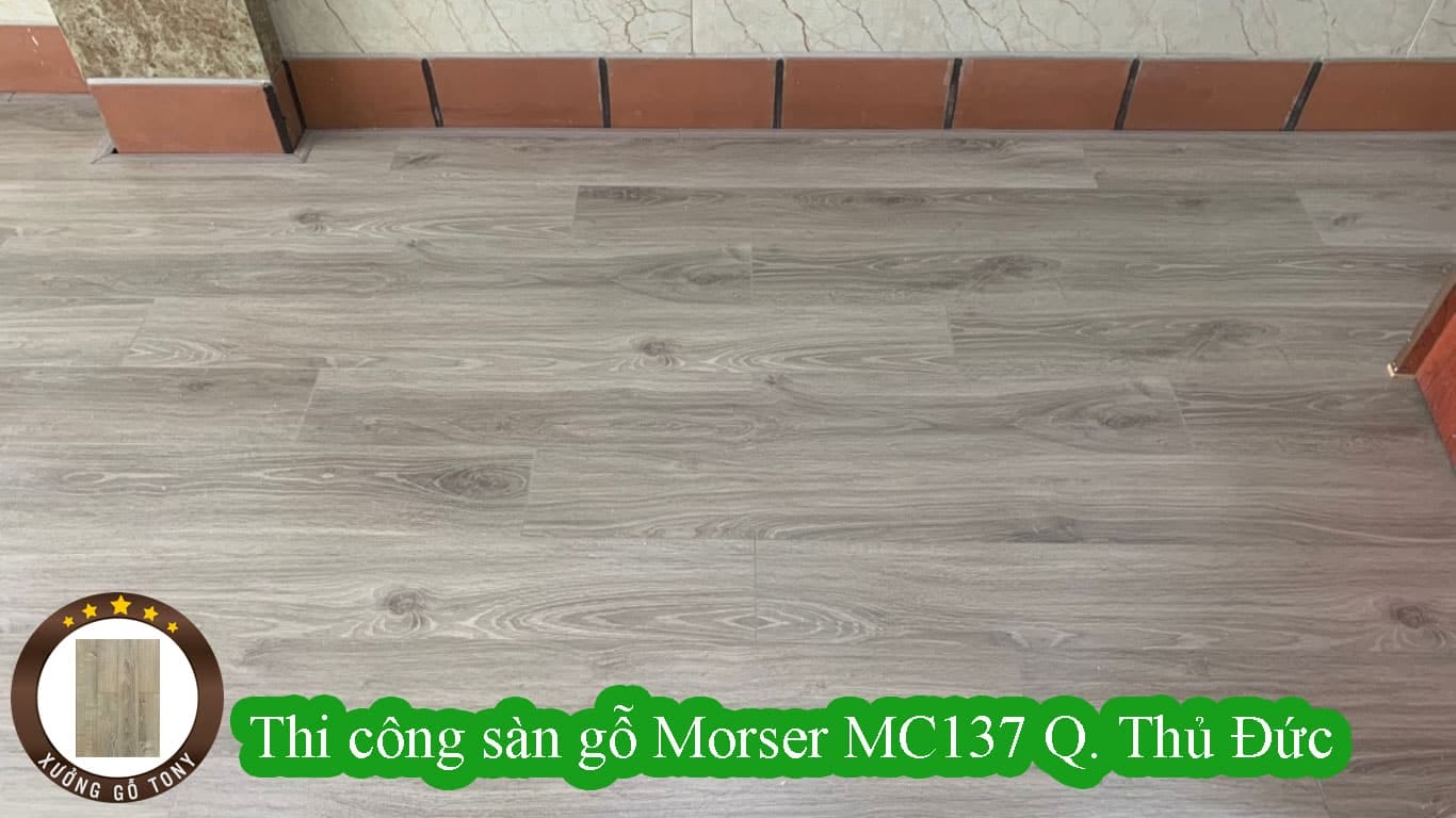 Thi công sàn gỗ công nghiệp Morser MC137