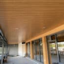 Trần nhựa giả gỗ cao cấp - Vẻ Đẹp Sang Trọng