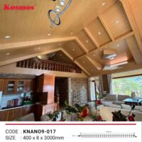 tam op nano kosmos knano 0172